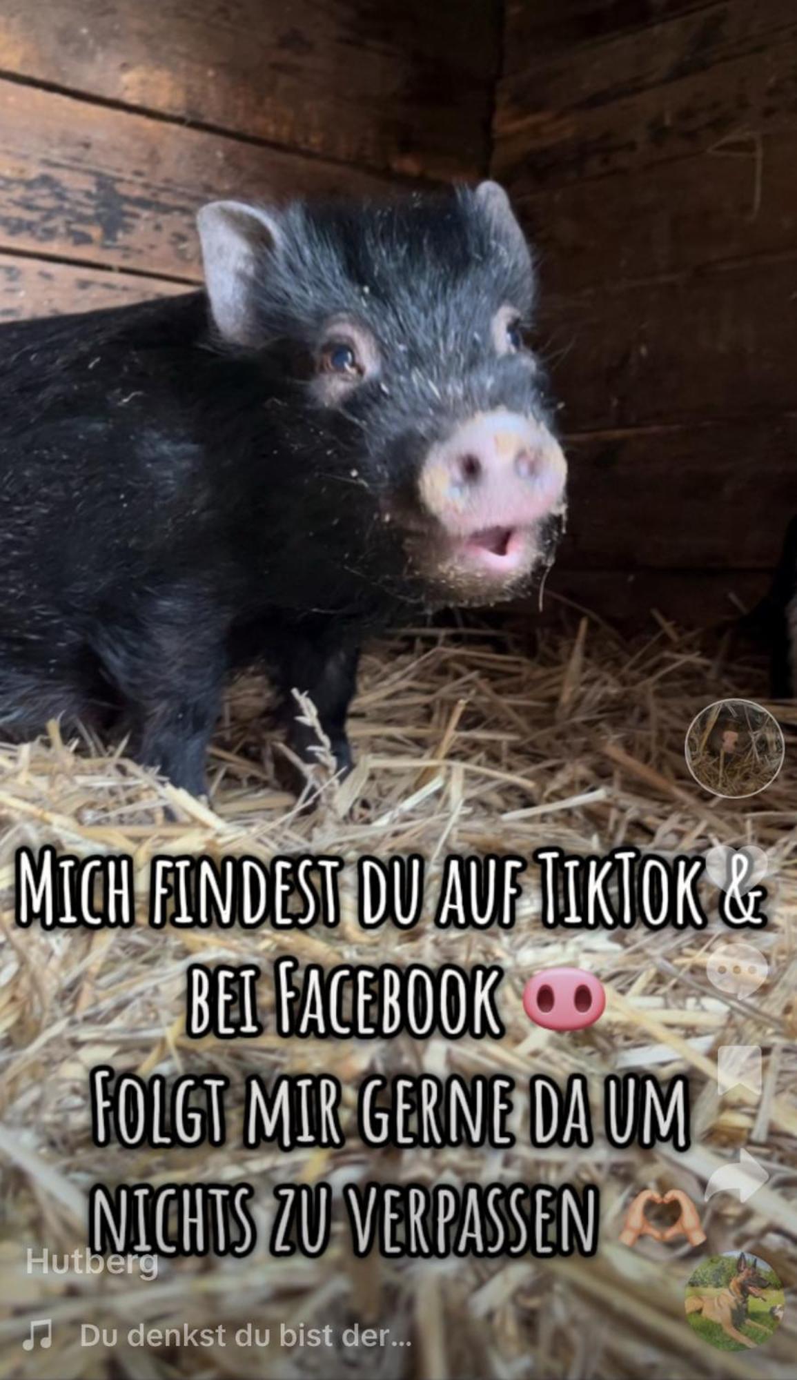 Ferienwohnung „Am Gnaucks Hutberg“ Hohnstein Zewnętrze zdjęcie